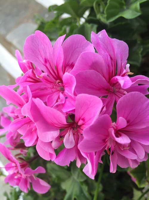 Galini Bungalows, Lobby sitting area