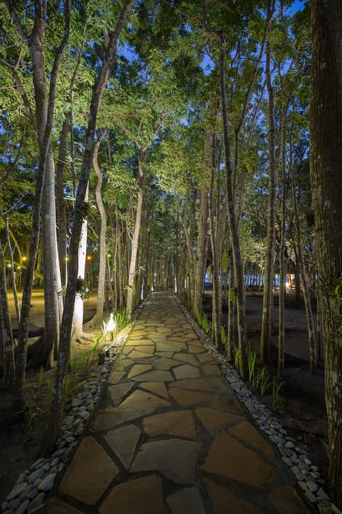 Oceanica Resort Panglao, View from room
