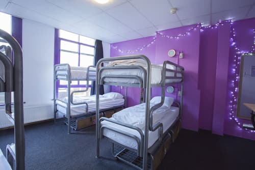 The Flying Pig Downtown Youth Hostel