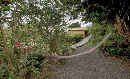 Hotel Don Taco, Garden