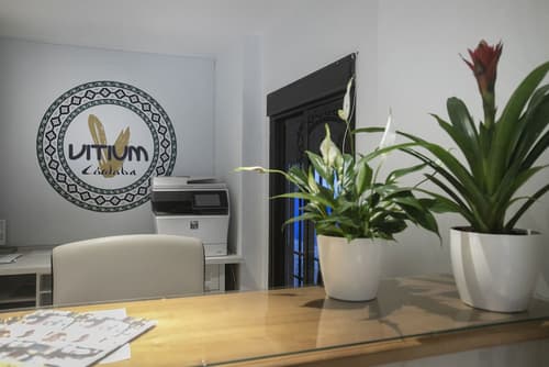 Vitium Córdoba, Reception