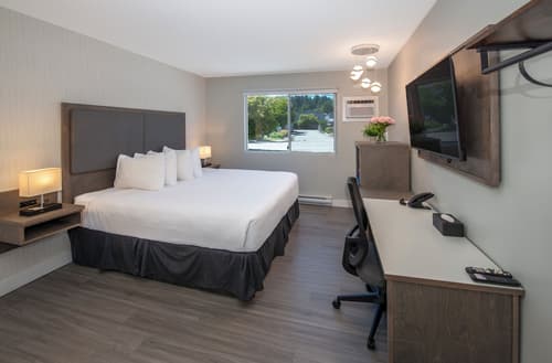 The Spot at Porpoise Bay