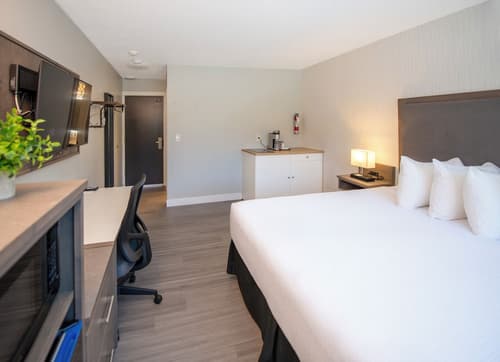 The Spot at Porpoise Bay