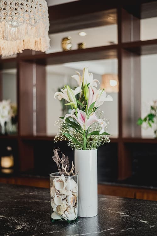 Phantom Suites, Reception