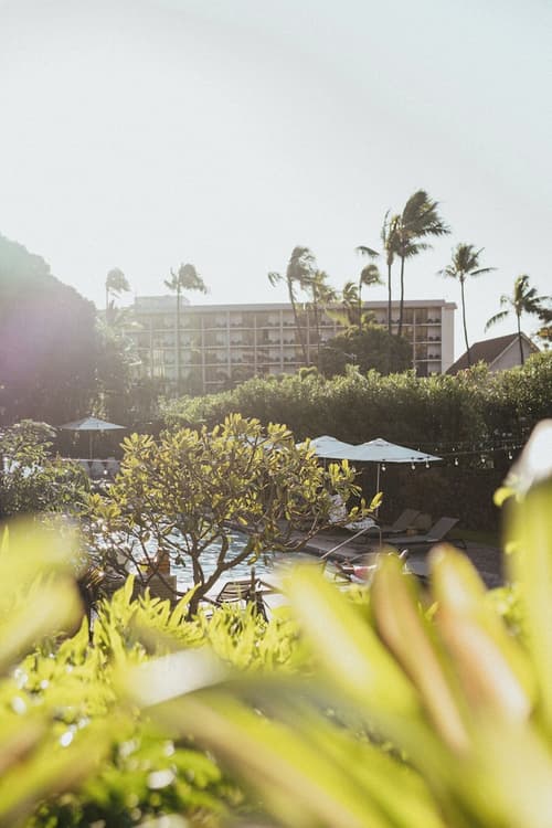 PACIFIC 19 Kona, Pool