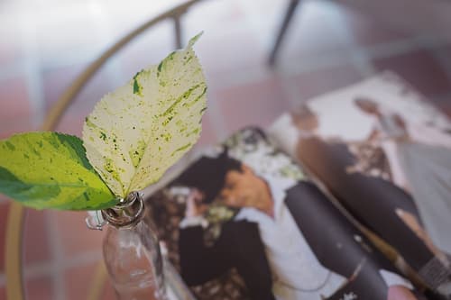 Kura Botanica Hotel, Room