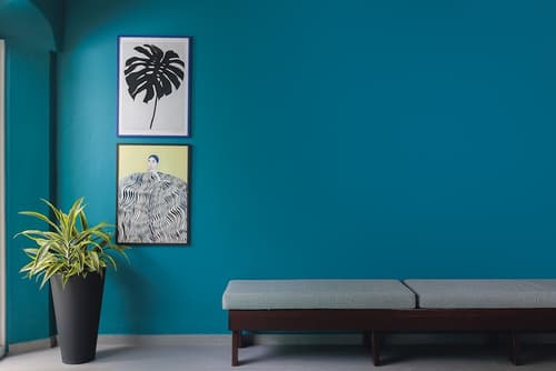 Kura Botanica Hotel, Reception