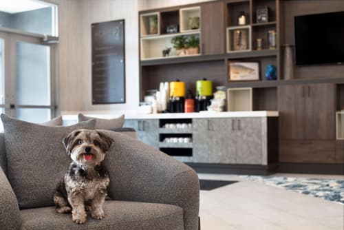 Home2 Suites by Hilton Huntsville, Lobby