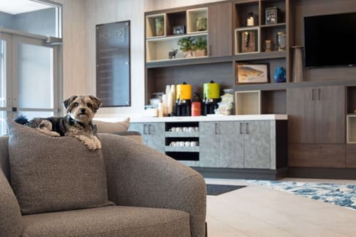 Home2 Suites by Hilton Huntsville, Lobby