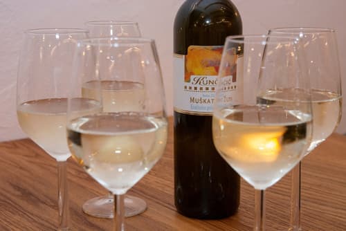 Boutique Villa Pearl of Plitvice, Winery