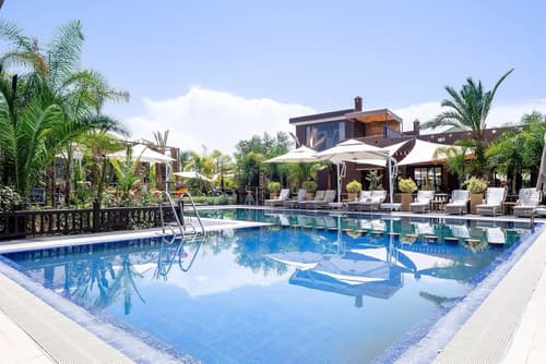 The Lemonary Marrakech, Primary image