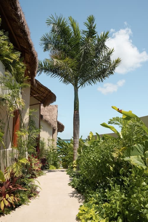 Puerta del Cielo Hotel Origen, Property grounds