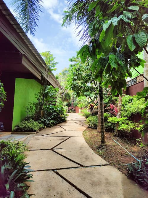 Phuket Jungle Experience Resort, Exterior