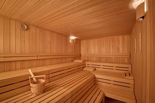 Adina Apartment Hotel Geneva, Sauna