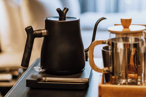 The Funny Lion El Nido