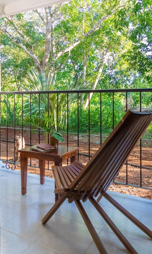 Hacienda San Miguel, View from room