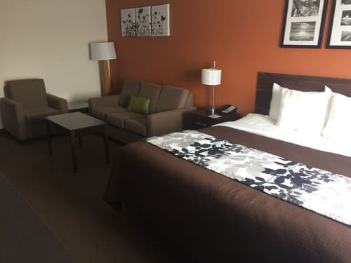 Sleep Inn & Suites and Conference Center Downtown, Room