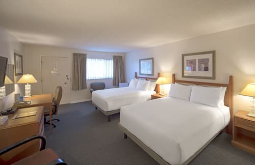 Robin Hood Inn & Suites, Room