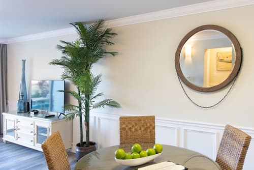 Dolphin Cove - Adults Only