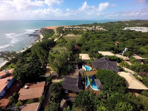 Sombra e Agua Fresca Floresta