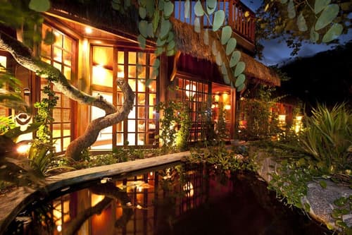 Sombra e Agua Fresca Floresta