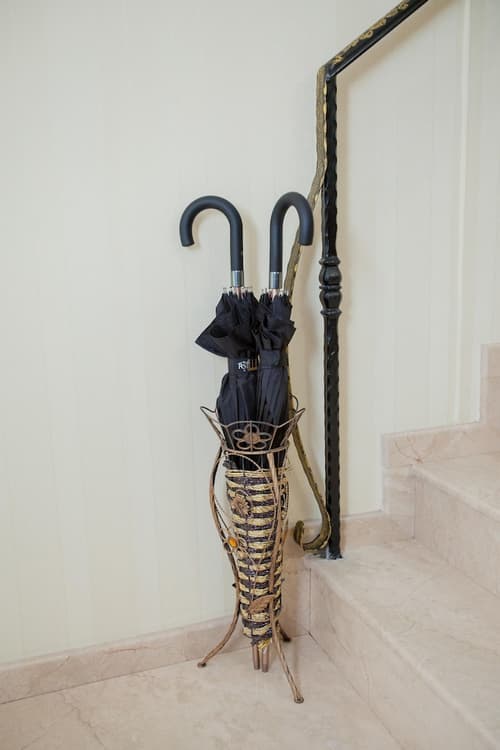 Rustaveli Palace, Interior entrance