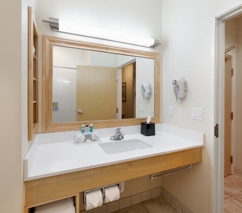 Holiday Inn Express & Suites San Antonio - Brooks City Base by IHG, Room
