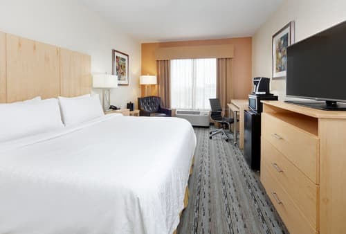 Holiday Inn Express & Suites San Antonio - Brooks City Base by IHG, Room