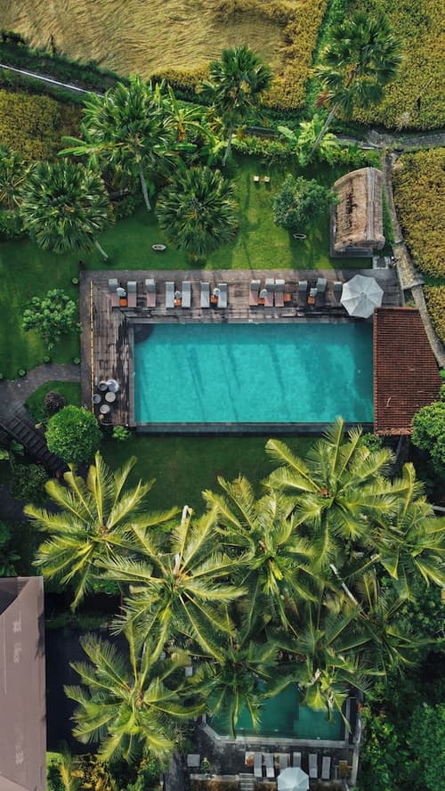 The Artini Dijiwa Ubud, Primary image