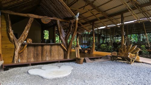 Danta Corcovado Lodge, Reception