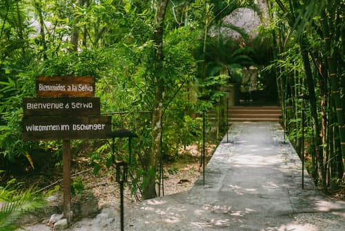 Piedra de Agua Hotel Boutique Palenque, Interior entrance