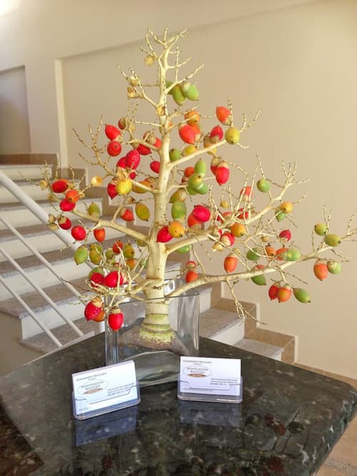 Montelaguna Boutique Hotel, Reception