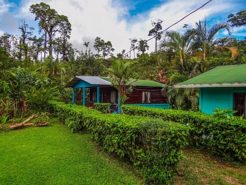 Posada Río Celeste La Amistad, Room