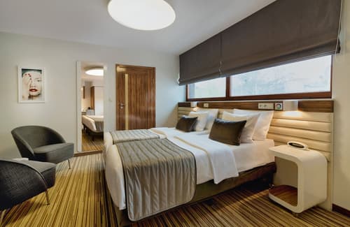 Leonardo Boutique Hotel Krakow City Center, Room