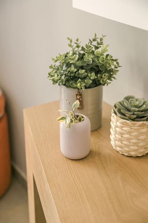 Daluz Boutique Hotel, Room