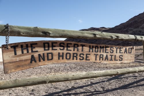 Desert Homestead Lodge l Ondili, Horseback riding