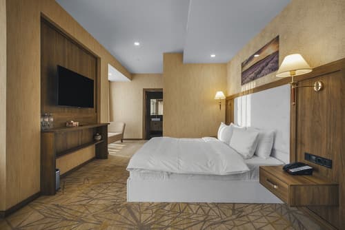 Royal Tulip Hotel & Casino Tbilisi, Room