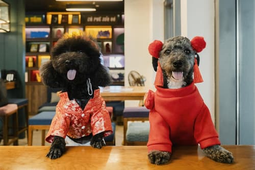 Wink Danang Riverside, Unscripted by Hyatt - 24 Hours stay