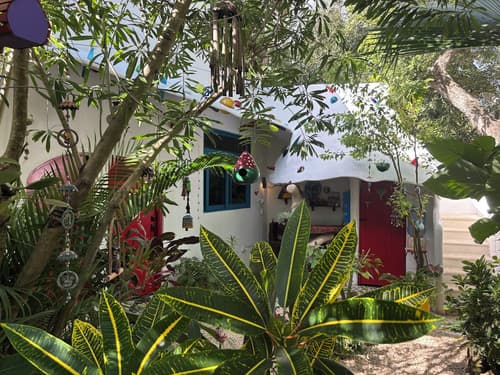 Maison Bacalar, Reception