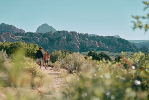 AutoCamp Zion