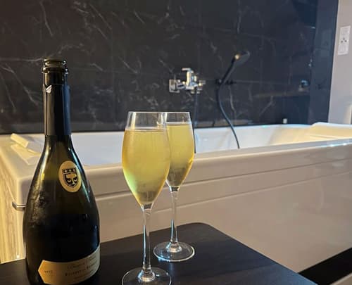 Appart Hotel Spa Perpignan, Room