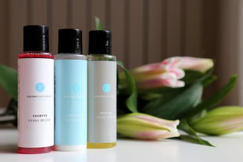 VISIONAPARTMENTS Zurich Brandschenkestrasse