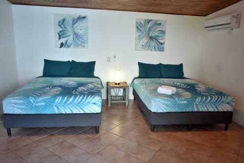 Hotel Planeta Sano, Room