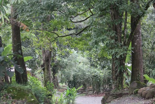 Hotel Planeta Sano, Hiking