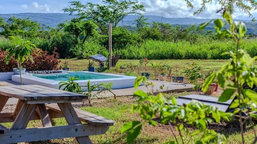 Cashaw Cabin - Private Retreat With a Pool