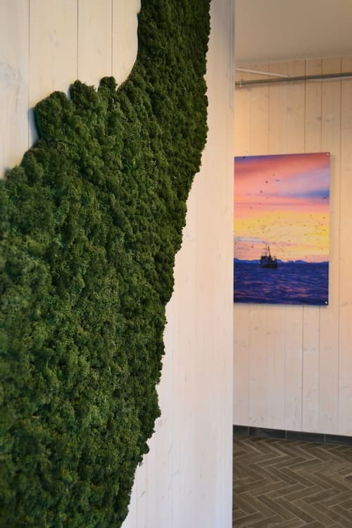 Andenes Suite Hotel, Interior entrance