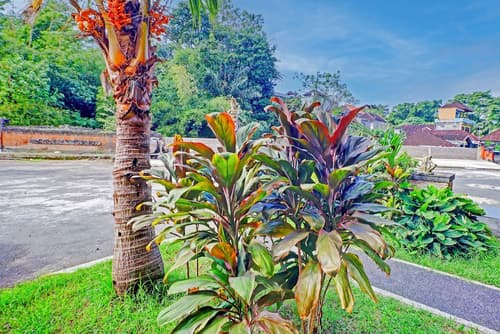 Collection O Bali near Terminal Ubung formerly Batukaru Garden Hotel