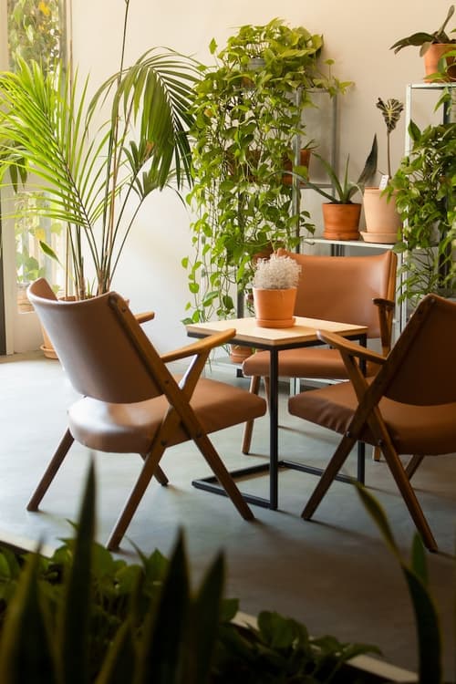 'Re-Dama Hostel, Lobby