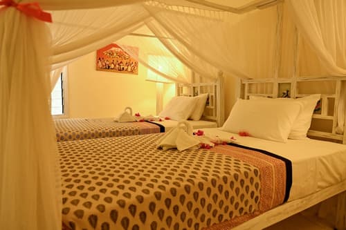 Lions Luxury Eco-Resort & Spa, Room