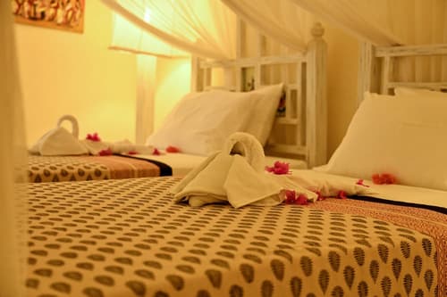 Lions Luxury Eco-Resort & Spa, Room